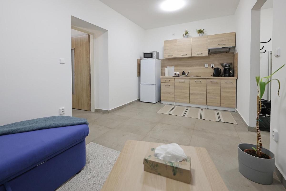 Fara 3 Apartment Libice nad Cidlinou Bagian luar foto